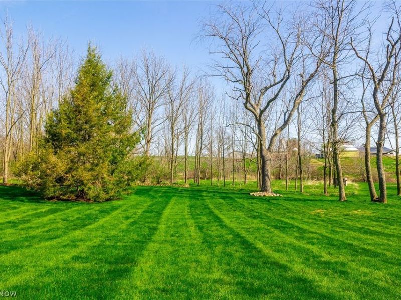 4554 E Moreland Road , Fredericksburg, OH 44627 Photo 5