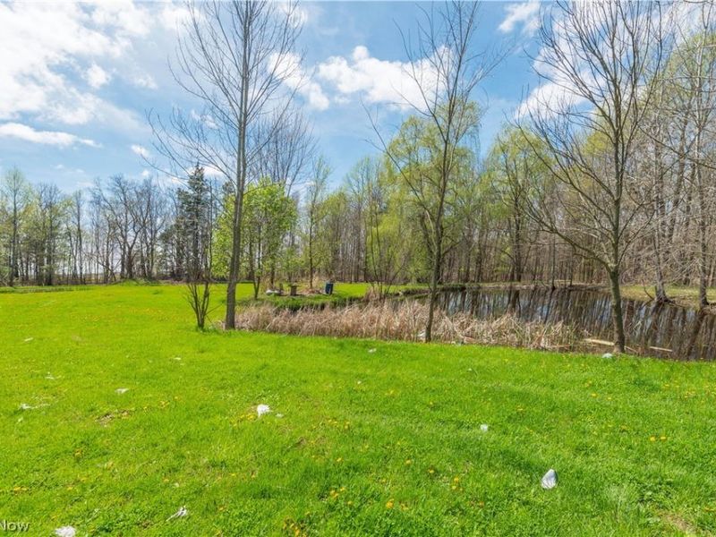 5226 State Route 60 , Wakeman, OH 44889 Photo 39