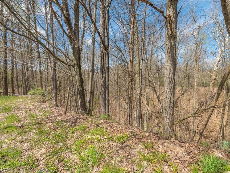 5226 State Route 60 , Wakeman, OH 44889 Photo 40