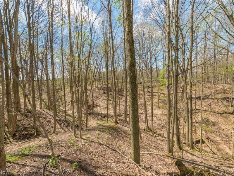 5226 State Route 60, Wakeman, OH 44889 Photo 42