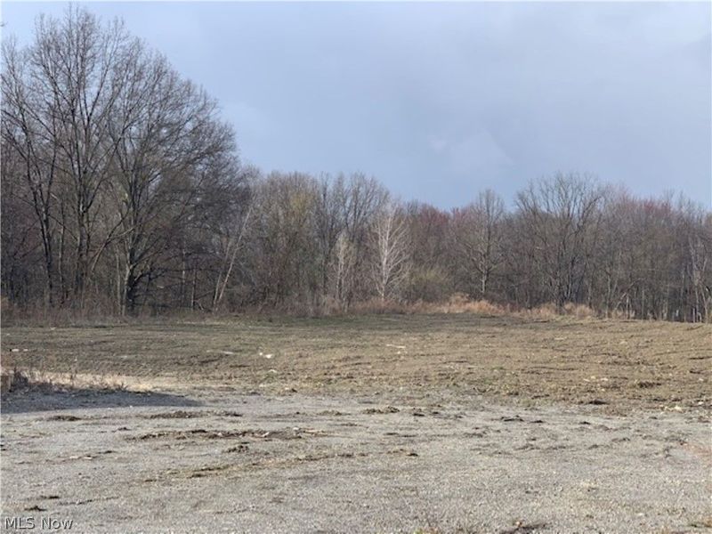 1737 SALT SPRINGS RD , Weathersfield, OH 44440 Photo 2