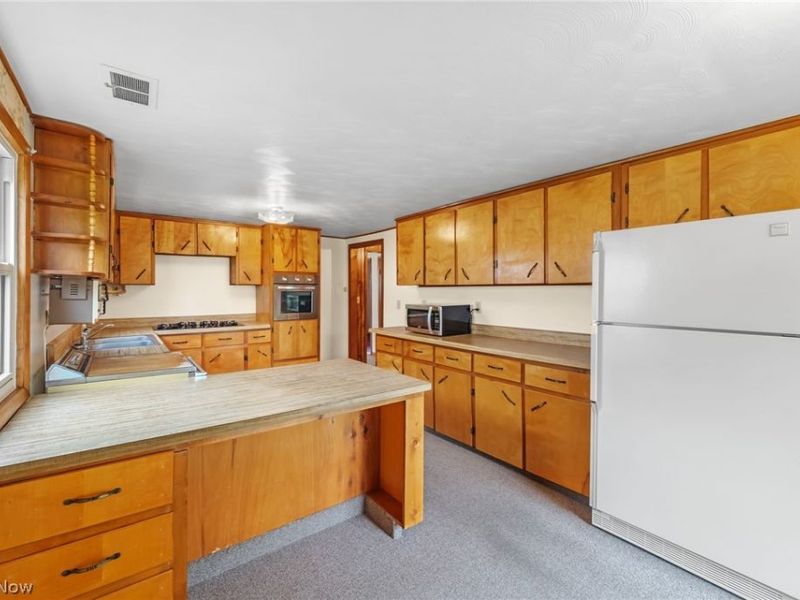 228 S Portage , Doylestown, OH 44230 Photo 22