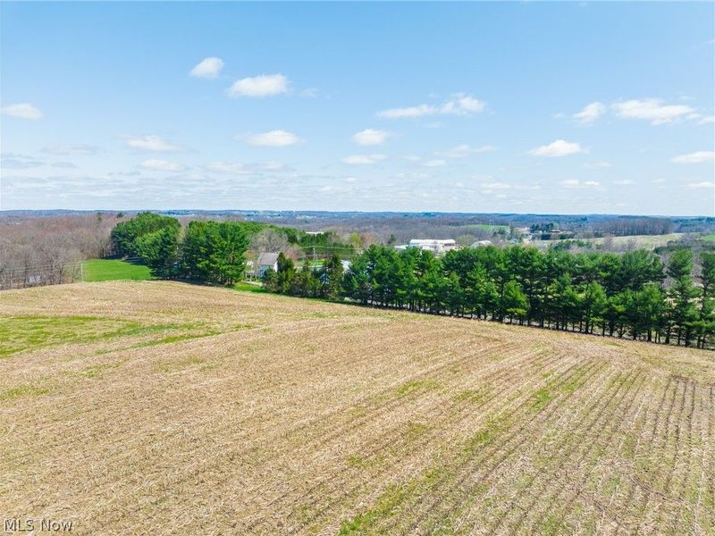 9050 Freeman Road , Lisbon, OH 44432 Photo 13