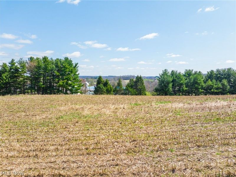 9050 Freeman Road , Lisbon, OH 44432 Photo 5