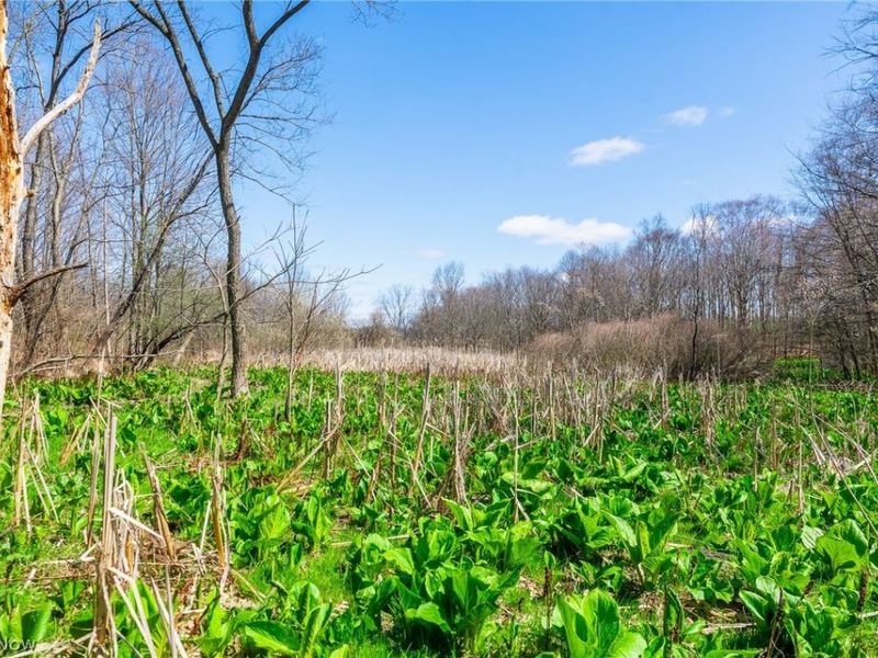 9050 Freeman Road , Lisbon, OH 44432 Photo 10