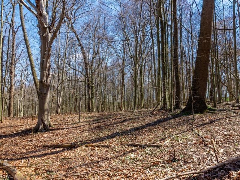 9050 Freeman Road , Lisbon, OH 44432 Photo 11