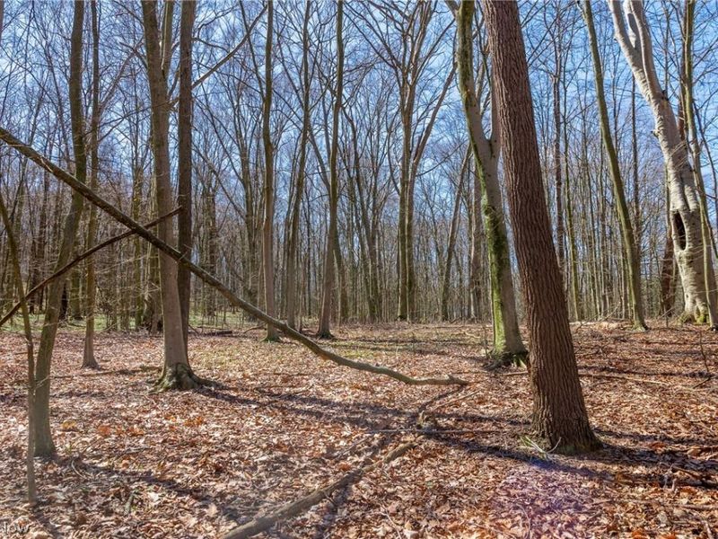 9050 Freeman Road , Lisbon, OH 44432 Photo 12