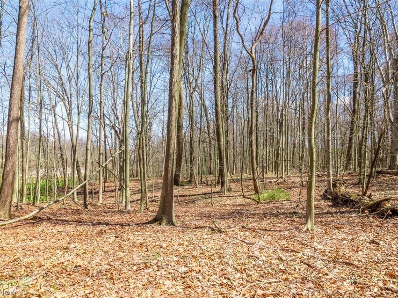 9050 Freeman Road , Lisbon, OH 44432 Photo 13