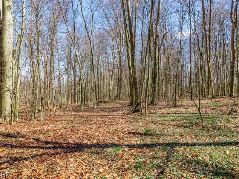 9050 Freeman Road , Lisbon, OH 44432 Photo 14