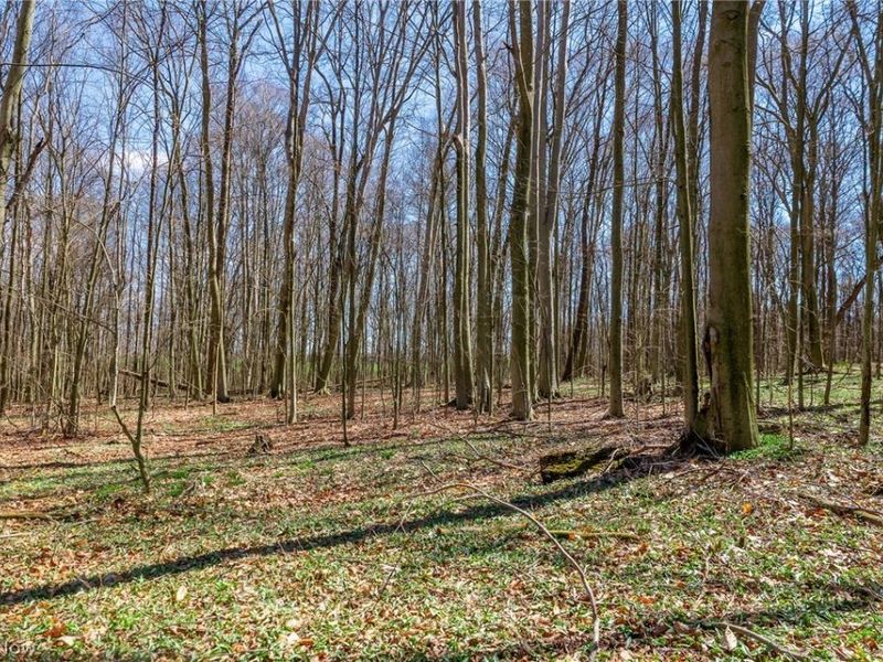 9050 Freeman Road , Lisbon, OH 44432 Photo 15