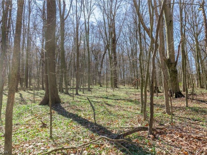 9050 Freeman Road , Lisbon, OH 44432 Photo 16