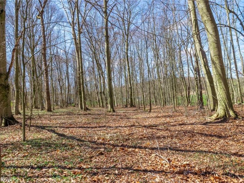 9050 Freeman Road , Lisbon, OH 44432 Photo 17