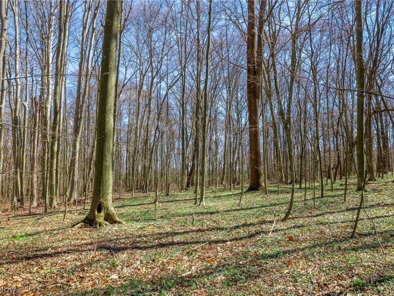 9050 Freeman Road , Lisbon, OH 44432 Photo 18