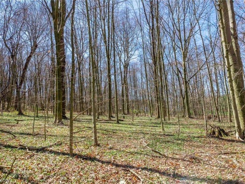 9050 Freeman Road , Lisbon, OH 44432 Photo 19