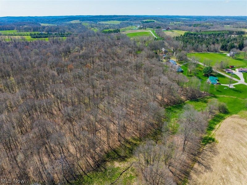 9050 Freeman Road , Lisbon, OH 44432 Photo 2