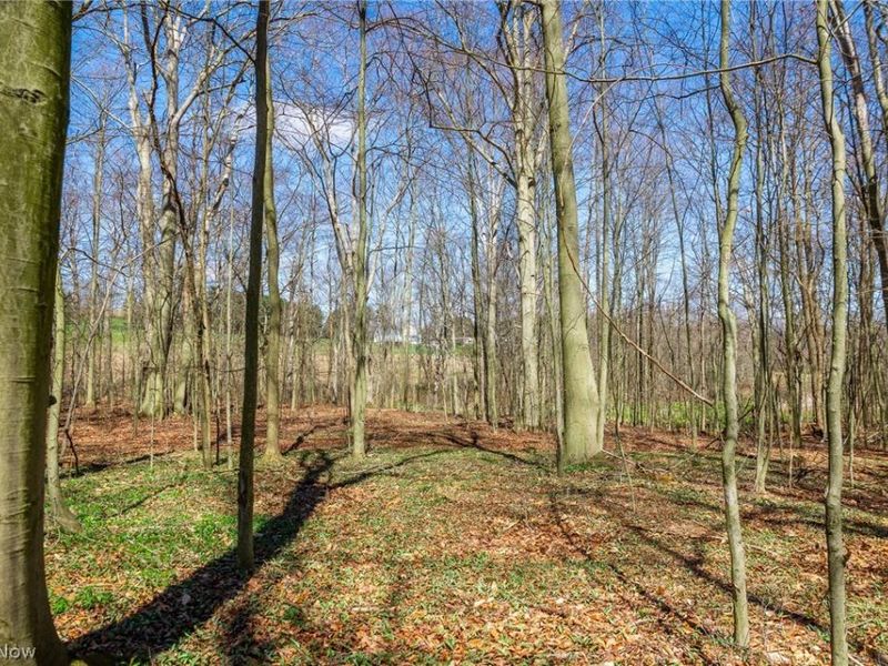 9050 Freeman Road , Lisbon, OH 44432 Photo 20