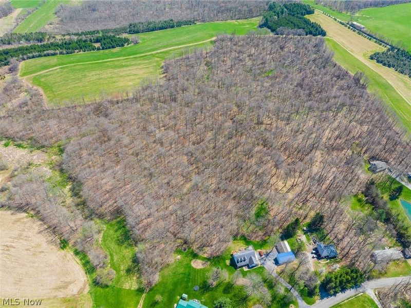 9050 Freeman Road , Lisbon, OH 44432 Photo 6