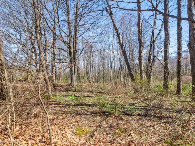 9050 Freeman Road , Lisbon, OH 44432 Photo 8