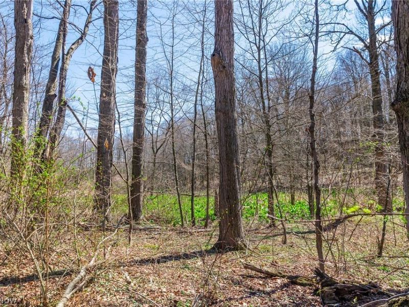 9050 Freeman Road , Lisbon, OH 44432 Photo 9