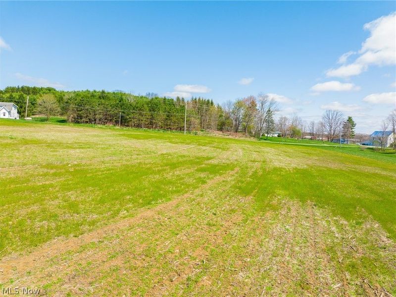 9050 Freeman Road , Lisbon, OH 44432 Photo 10