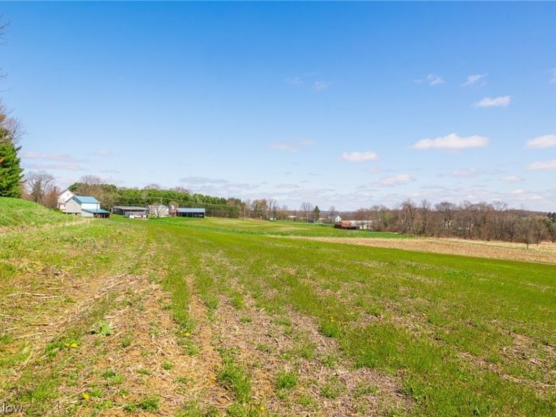 9050 Freeman Road , Lisbon, OH 44432 Photo 2