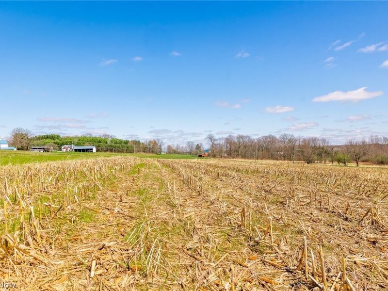 9050 Freeman Road , Lisbon, OH 44432 Photo 3