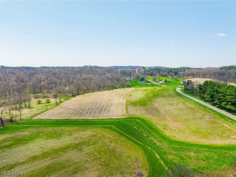 9050 Freeman Road , Lisbon, OH 44432 Photo 6