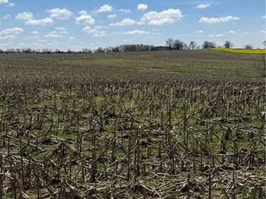 V/L Bieri Road, Marshallville, OH 44645