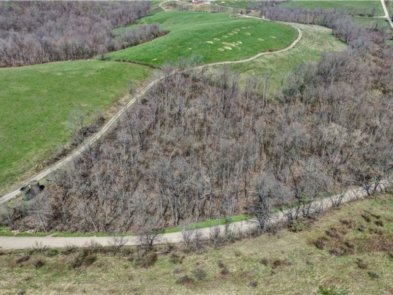 Township Road 127 , Millersburg, OH 44654 Photo 11