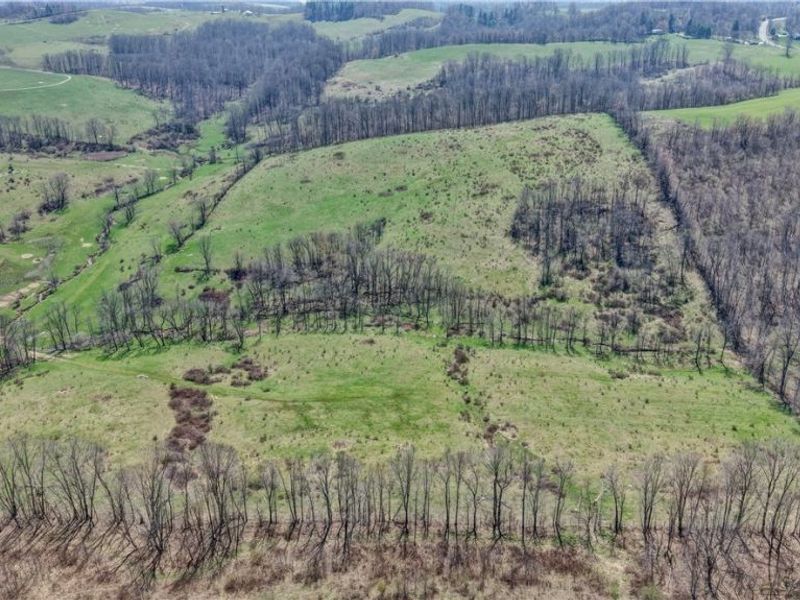 Township Road 127 , Millersburg, OH 44654 Photo 18