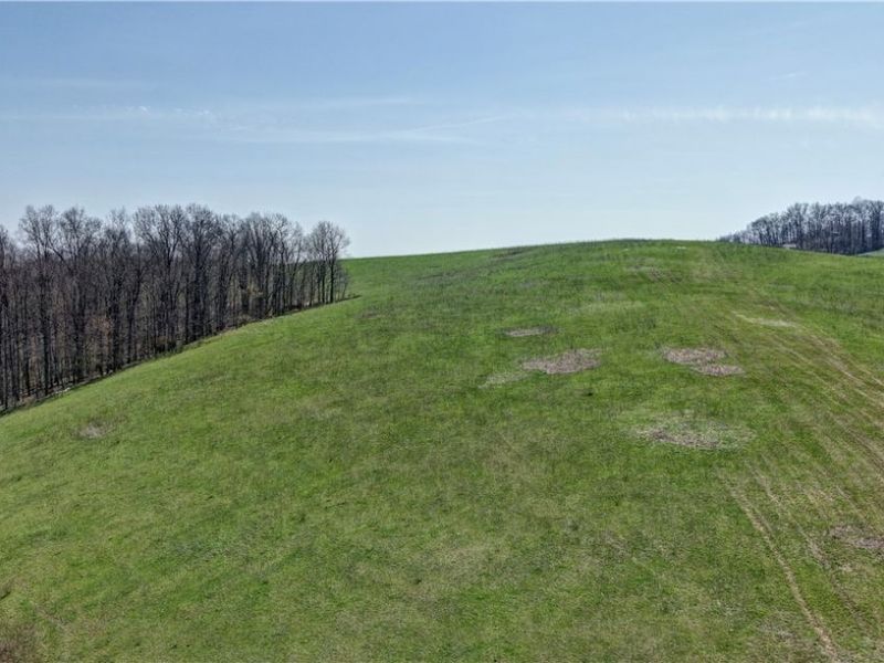 Township Road 127 , Millersburg, OH 44654 Photo 27