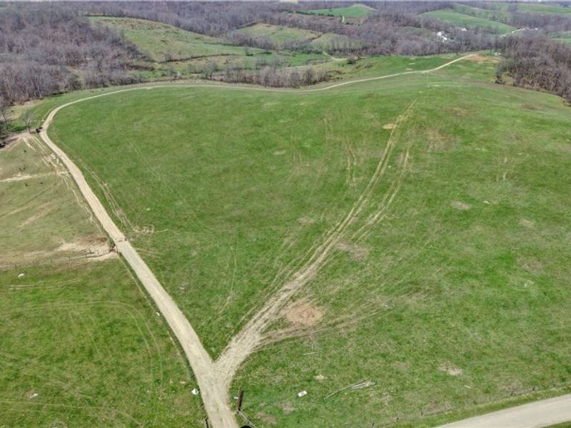 Township Road 127 , Millersburg, OH 44654 Photo 3