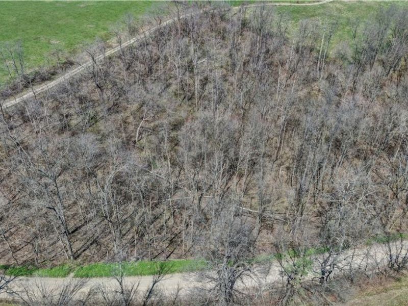 Township Road 127 , Millersburg, OH 44654 Photo 2