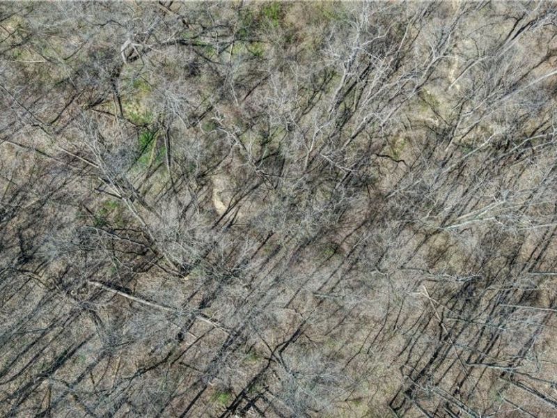 Township Road 127 , Millersburg, OH 44654 Photo 3