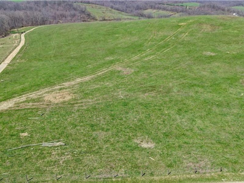 Township Road 127 , Millersburg, OH 44654 Photo 4