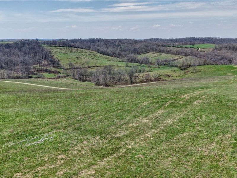 Township Road 127 , Millersburg, OH 44654 Photo 11