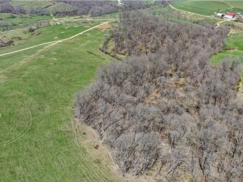 Township Road 127 , Millersburg, OH 44654 Photo 4