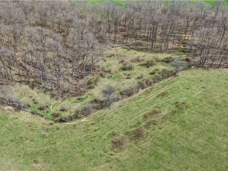 Township Road 127 , Millersburg, OH 44654 Photo 9