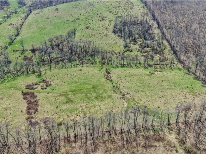 Township Road 127 , Millersburg, OH 44654 Photo 5