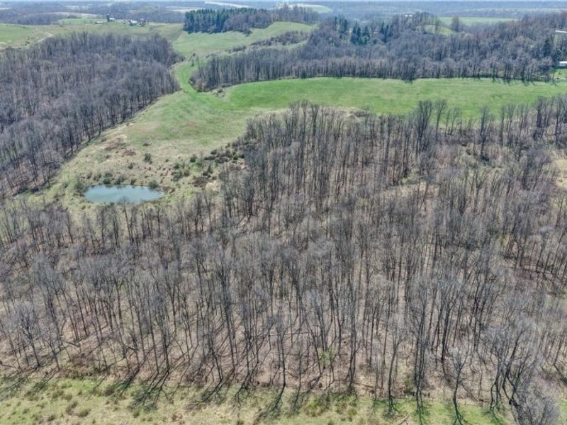 Township Road 127 , Millersburg, OH 44654 Photo 2