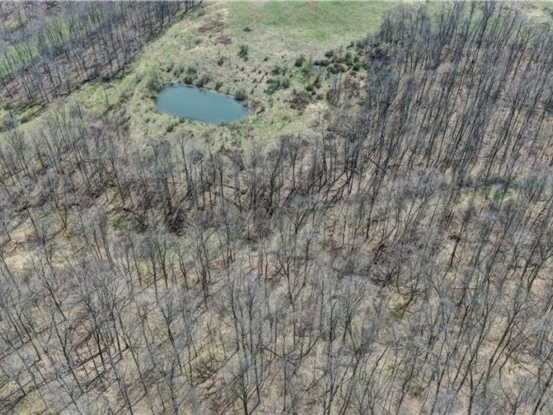 Township Road 127 , Millersburg, OH 44654 Photo 3