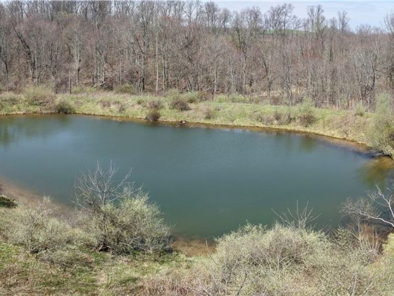 Township Road 127 , Millersburg, OH 44654 Photo 5