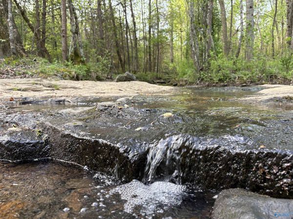 20.90 ac County Road 361, Pisgah, AL 35765