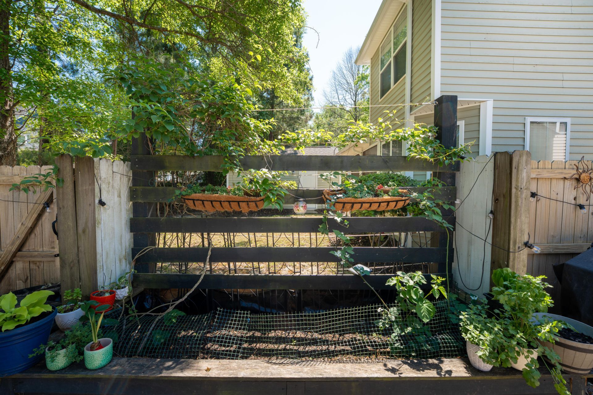 1696 Bee Balm Road Photo 34