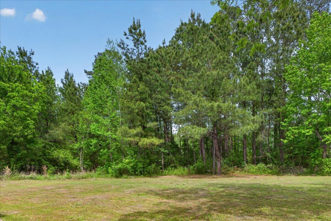 119 State Road S-38-1804 Photo 5