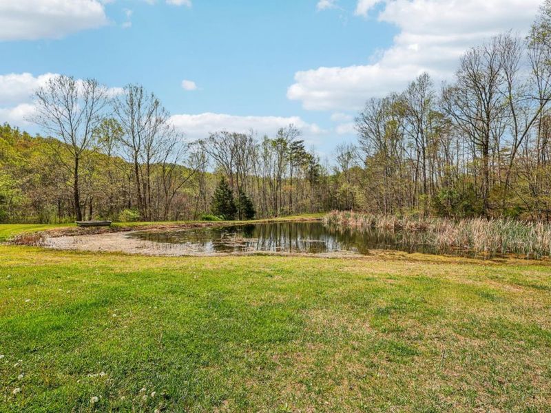 189 Hamilton Road, Lynx, OH 45650 Photo 48