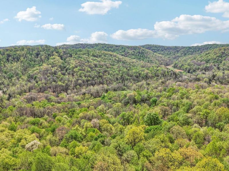 189 Hamilton Road, Lynx, OH 45650 Photo 65