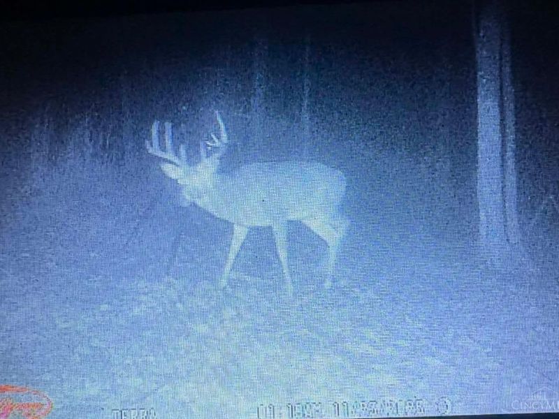 189 Hamilton Road, Lynx, OH 45650 Photo 70