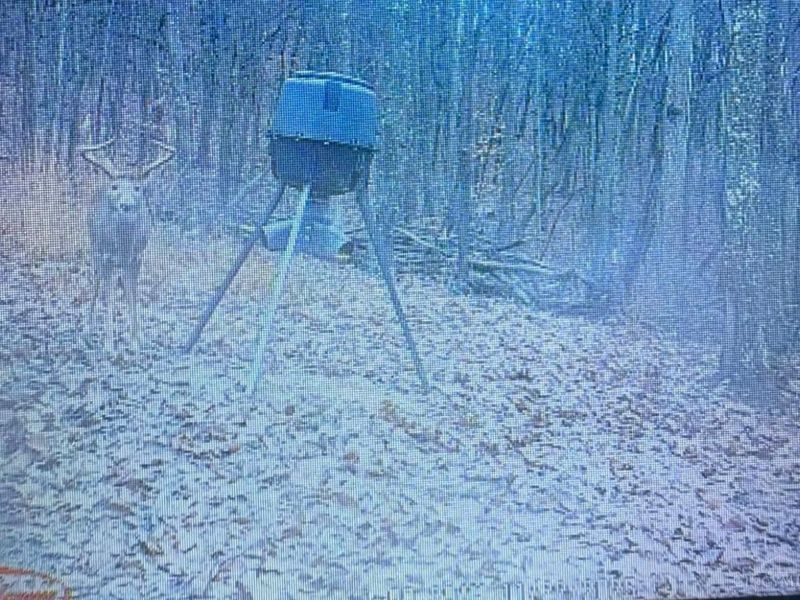 189 Hamilton Road, Lynx, OH 45650 Photo 71