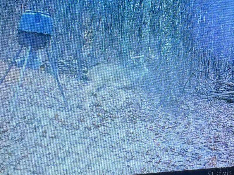 189 Hamilton Road, Lynx, OH 45650 Photo 72